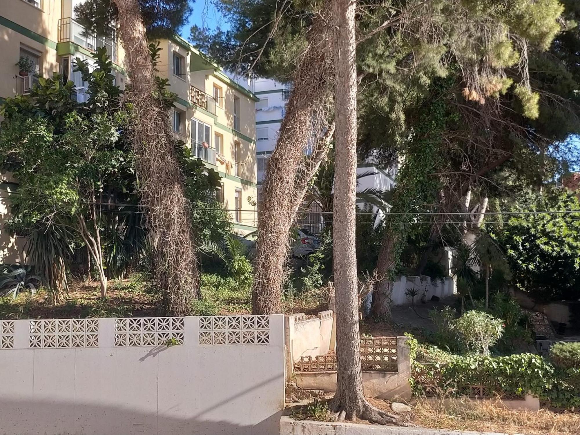 Apartamento Terraza Del Bajondillo Torremolinos Exterior foto
